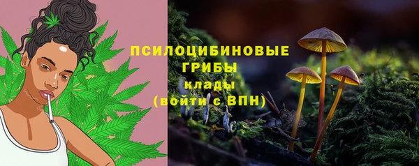 mix Гусев