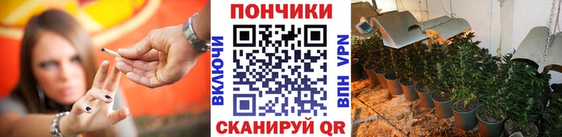 Шишки марихуана гибрид  Городец 